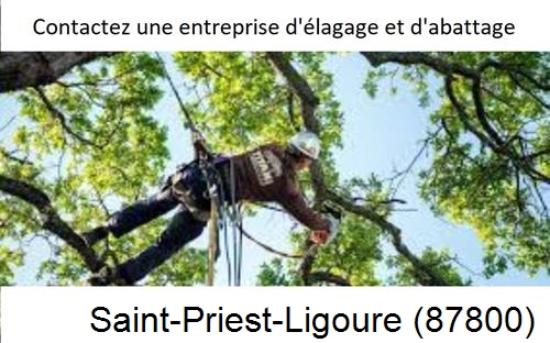 Travaux d'élagage à Saint-Priest-Ligoure-87800