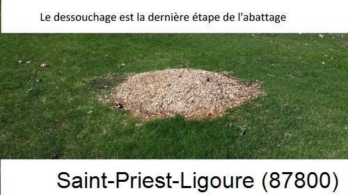 déssouchage d'arbres Saint-Priest-Ligoure-87800