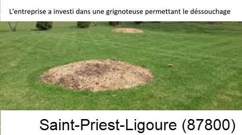 Artisan pour déssouchage d'arbres Saint-Priest-Ligoure-87800