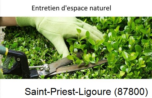 Rénovation jardin particulier Saint-Priest-sous-Aixe-87700