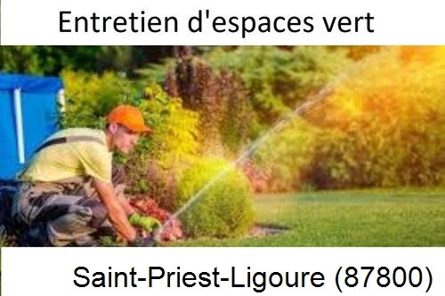 Aménagement extérieur à Saint-Priest-sous-Aixe-87700