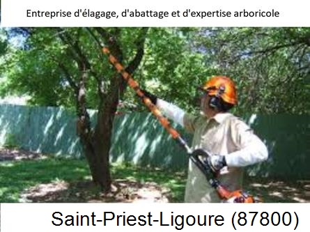 Coupe tête d'arbres Saint-Priest-Ligoure-87800