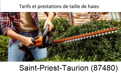 taille de haies Saint-Priest-Taurion-87480