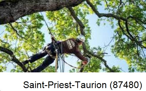 Abattage d'arbres chez un particulier Saint-Priest-Taurion-87480