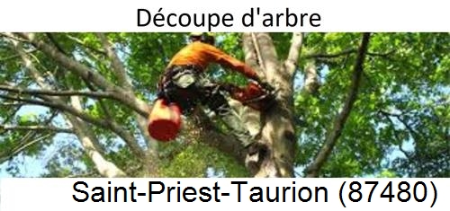 Entreprise du paysage Saint-Priest-Taurion-87480