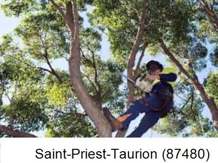 Elagueur à Saint-Priest-Taurion-87480