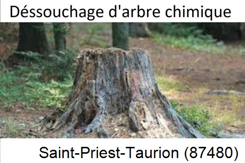 Elagueur déssouchage à Saint-Priest-Taurion-87480
