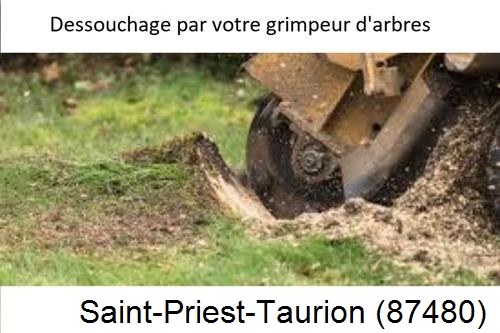 abattage d'arbres à Saint-Priest-Taurion-87480