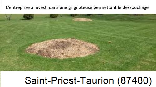 Artisan pour déssouchage d'arbres Saint-Priest-Taurion-87480