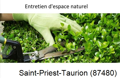 Rénovation jardin particulier Saint-Sornin-la-Marche-87210