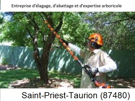 Coupe tête d'arbres Saint-Priest-Taurion-87480