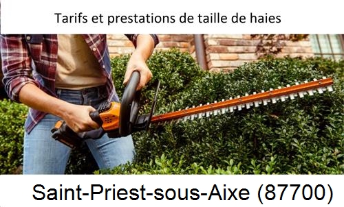 taille de haies Saint-Priest-sous-Aixe-87700