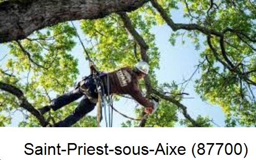 Abattage d'arbres chez un particulier Saint-Priest-sous-Aixe-87700