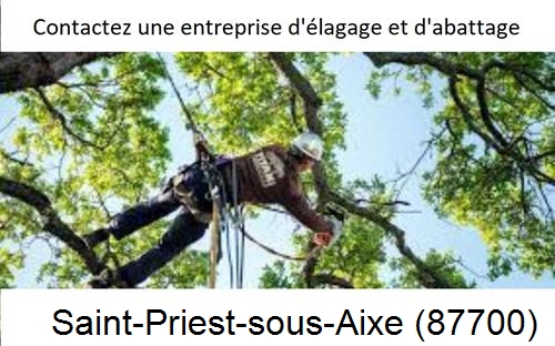 Travaux d'élagage à Saint-Priest-sous-Aixe-87700