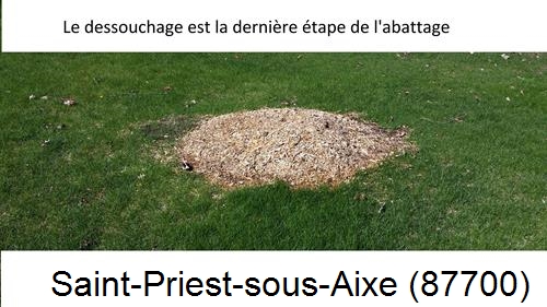déssouchage d'arbres Saint-Priest-sous-Aixe-87700