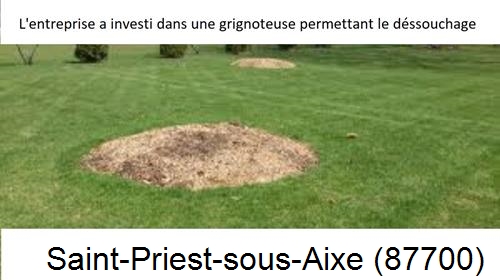Artisan pour déssouchage d'arbres Saint-Priest-sous-Aixe-87700