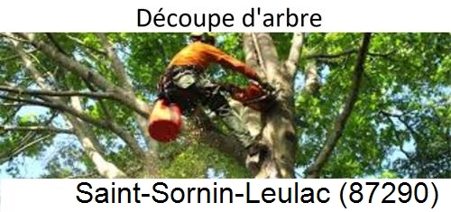 Entreprise du paysage Saint-Sornin-Leulac-87290