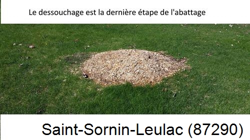 déssouchage d'arbres Saint-Sornin-Leulac-87290