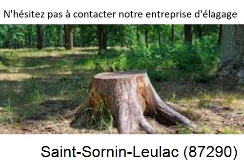 Elagage d'arbres à Saint-Sornin-Leulac-87290