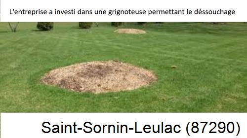 Artisan pour déssouchage d'arbres Saint-Sornin-Leulac-87290