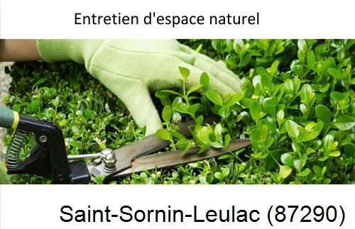 Rénovation jardin particulier Saint-Sulpice-Laurière-87370