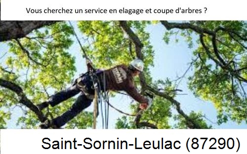 Etêtage d'arbres à Saint-Sornin-Leulac-87290