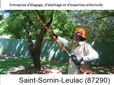 Coupe tête d'arbres Saint-Sornin-Leulac-87290