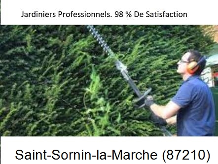 Paysagiste Saint-Sornin-la-Marche-87210