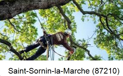 Abattage d'arbres chez un particulier Saint-Sornin-la-Marche-87210