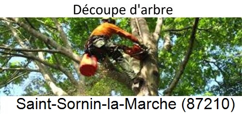 Entreprise du paysage Saint-Sornin-la-Marche-87210