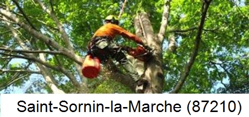 Entreprise du paysage Saint-Sornin-la-Marche-87210