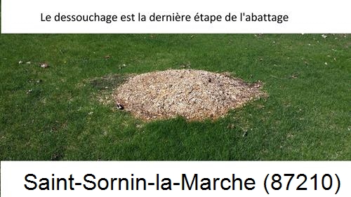 déssouchage d'arbres Saint-Sornin-la-Marche-87210