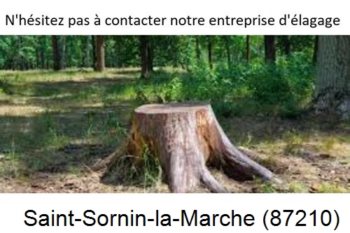 Elagage d'arbres à Saint-Sornin-la-Marche-87210
