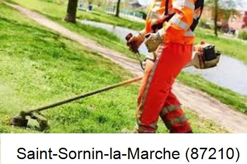 Entretien d'un jardin Saint-Sornin-Leulac-87290