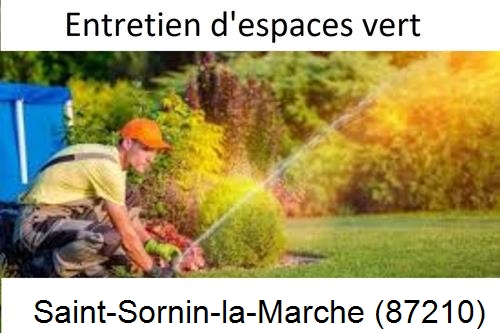 Aménagement extérieur à Saint-Sornin-Leulac-87290
