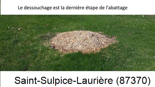 déssouchage d'arbres Saint-Sulpice-Laurière-87370