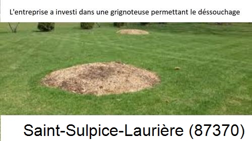 Artisan pour déssouchage d'arbres Saint-Sulpice-Laurière-87370