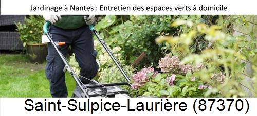 Travaux d'entretien exterieur Saint-Sulpice-les-Feuilles-87160