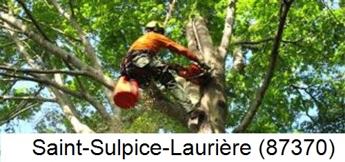 Déssouchage, étêtage d'arbres Saint-Sulpice-Laurière-87370