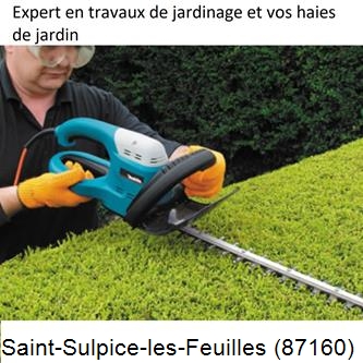 Taille et entretien jardin Saint-Sulpice-les-Feuilles-87160