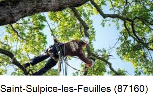 Abattage d'arbres chez un particulier Saint-Sulpice-les-Feuilles-87160