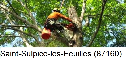 Entreprise du paysage Saint-Sulpice-les-Feuilles-87160