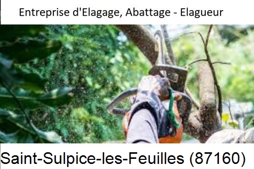 Travaux d'abattage d'arbres à Saint-Sulpice-les-Feuilles-87160