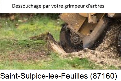 abattage d'arbres à Saint-Sulpice-les-Feuilles-87160