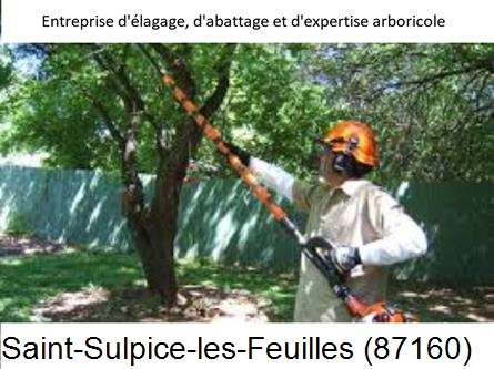 Coupe tête d'arbres Saint-Sulpice-les-Feuilles-87160