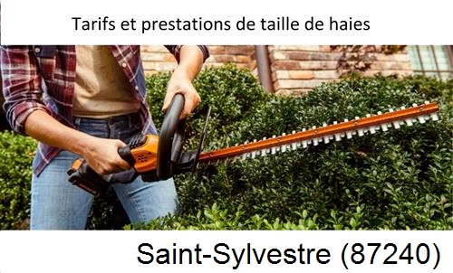taille de haies Saint-Sylvestre-87240
