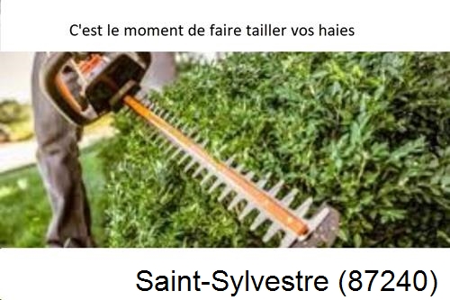 Entreprise de paysage Saint-Sylvestre-87240