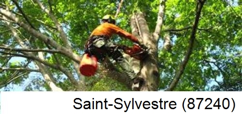 Entreprise du paysage Saint-Sylvestre-87240