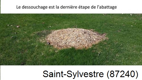 déssouchage d'arbres Saint-Sylvestre-87240