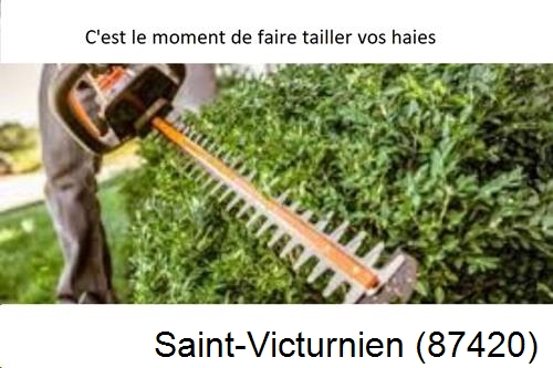 Entreprise de paysage Saint-Victurnien-87420
